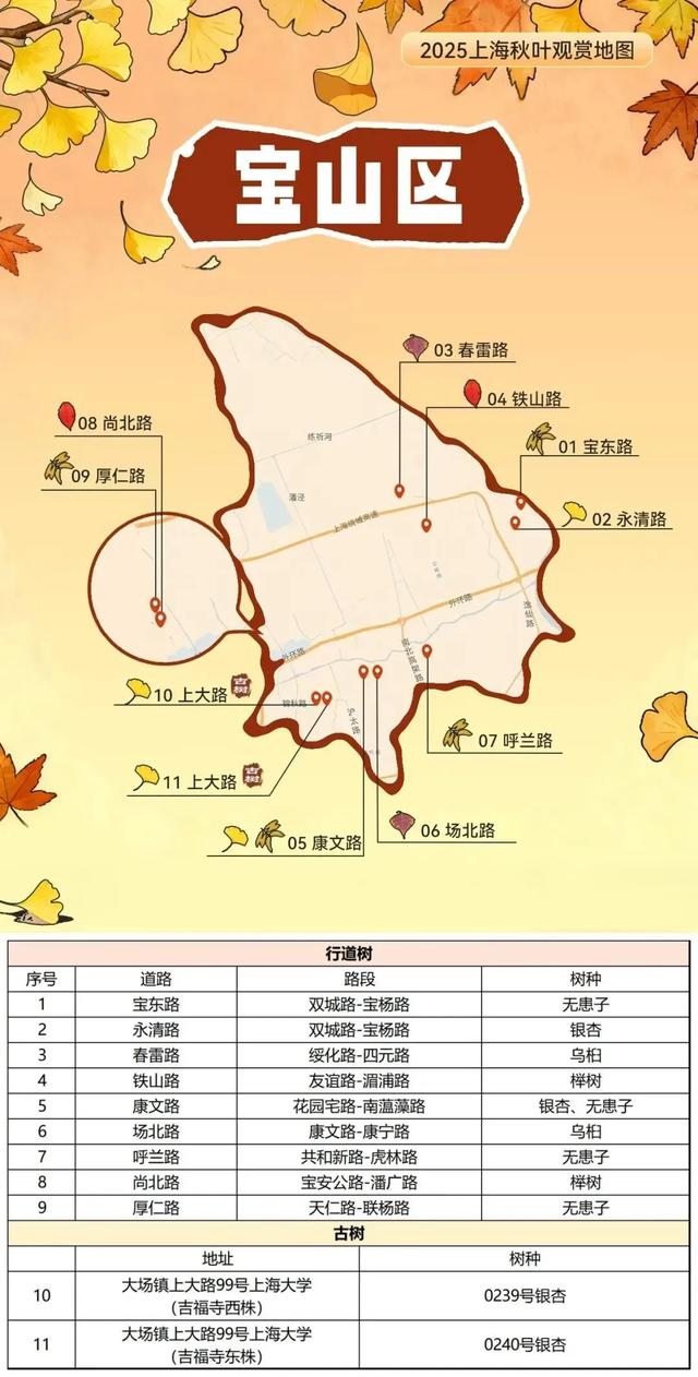 2025上海秋叶地图出炉,徐汇这些点位不可错过!