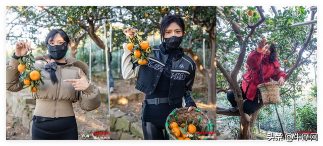 体验田园生活 探索陶艺世界 | 骑NS150GX在苏州，周末就该这样过！