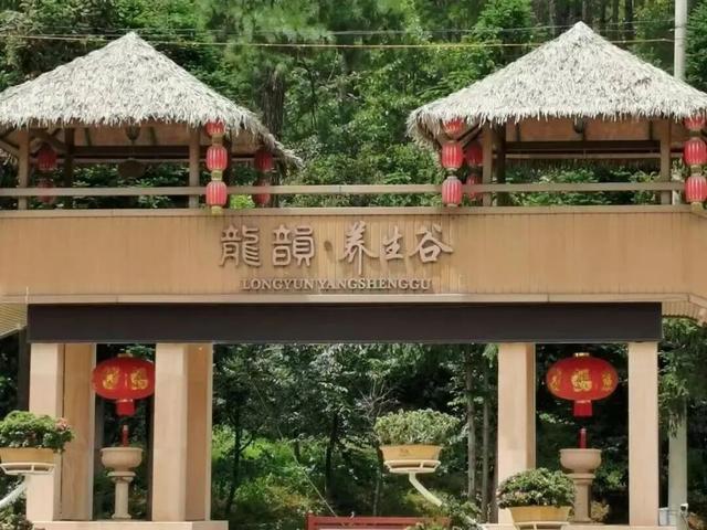 免票福利再升级！2026一心堂弥勒“玫瑰马”景区优惠加码！