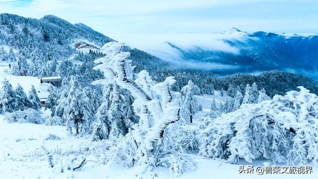 南国最美雪乡神农架：108种冬日浪漫，藏着华中最野的雪趣