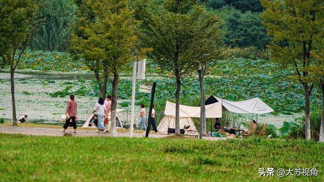 南京溧水藏不住了！国庆露营扎堆，免费湖景+遛娃彩蛋太好逛