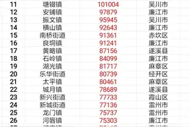 湛江市所有乡镇、街道、场区常住人口数据，11个街镇人口超10万人图片