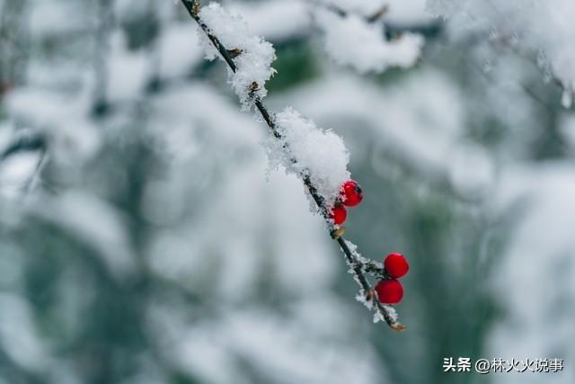“大雪来不来，看九月十一”，今日九月十一，今冬雪非常大吗？
