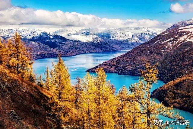 秋季的新疆，一草一木皆风景！