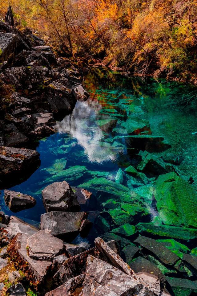 今天起免票！四川多家景区最新免费活动汇总→