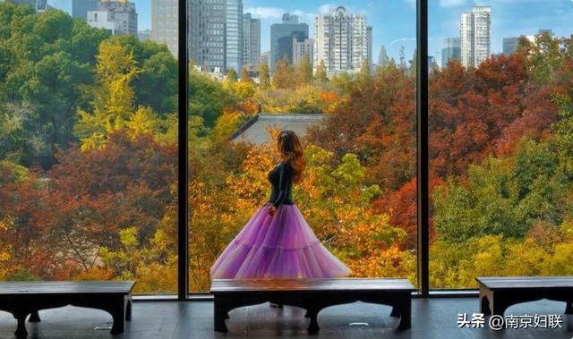 南京这些“魔法之窗”，怎么拍都出片！