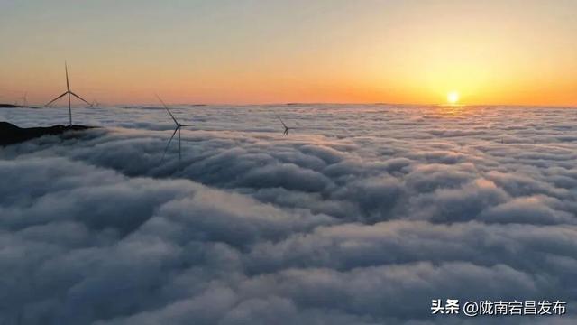 千年药乡•康养宕昌 | 别等！宕昌大草原的“绿毯”要收了，现在打卡正当时