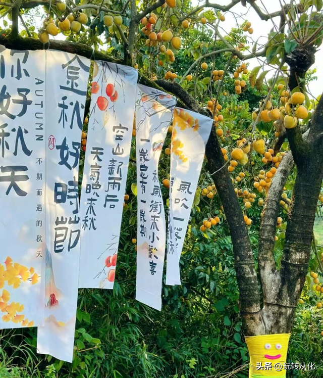 秋染从化，寻味柿香：上罗、南平、桂峰赏柿全攻略