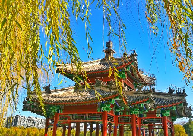 狂风散尽现碧空 北京市民陶然亭公园共赴“大风蓝”之约