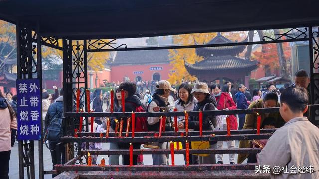 枫染栖霞醉金陵！明秀山红叶铺就秋日限定画卷