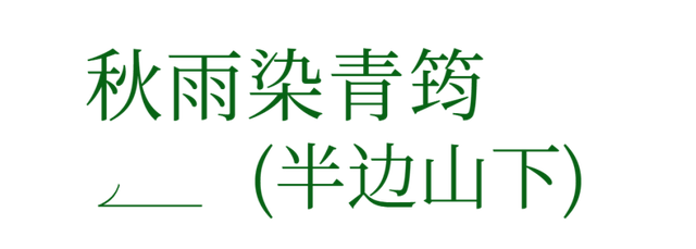 太美！来看金坛茅山私藏的「秋雨仙境」