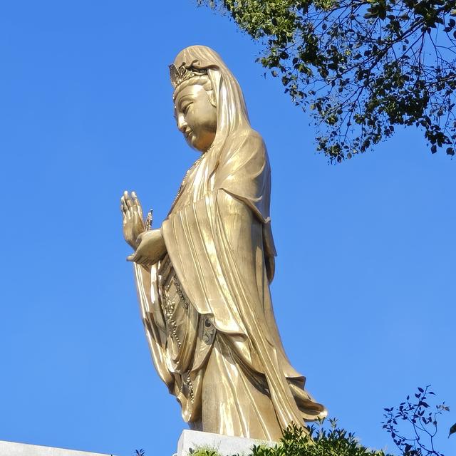 普陀归来