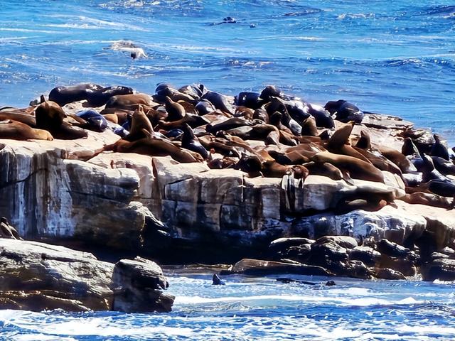 非洲旅游：难忘南非观光之旅纪行（图）