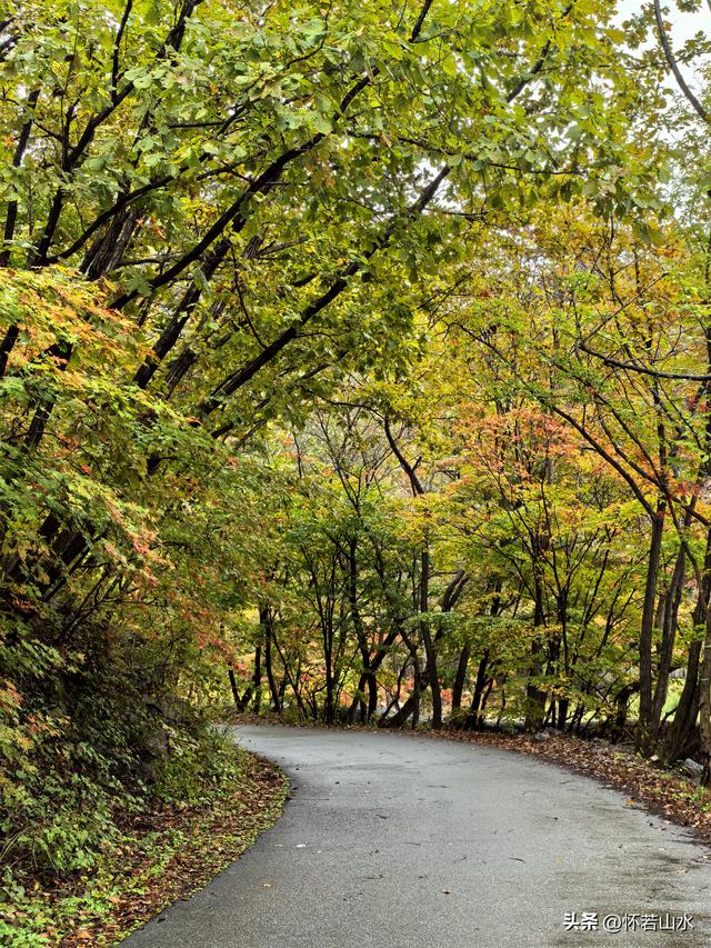 2025辽宁赏秋之旅日记(2)——游览丹东蒲石河森林公园