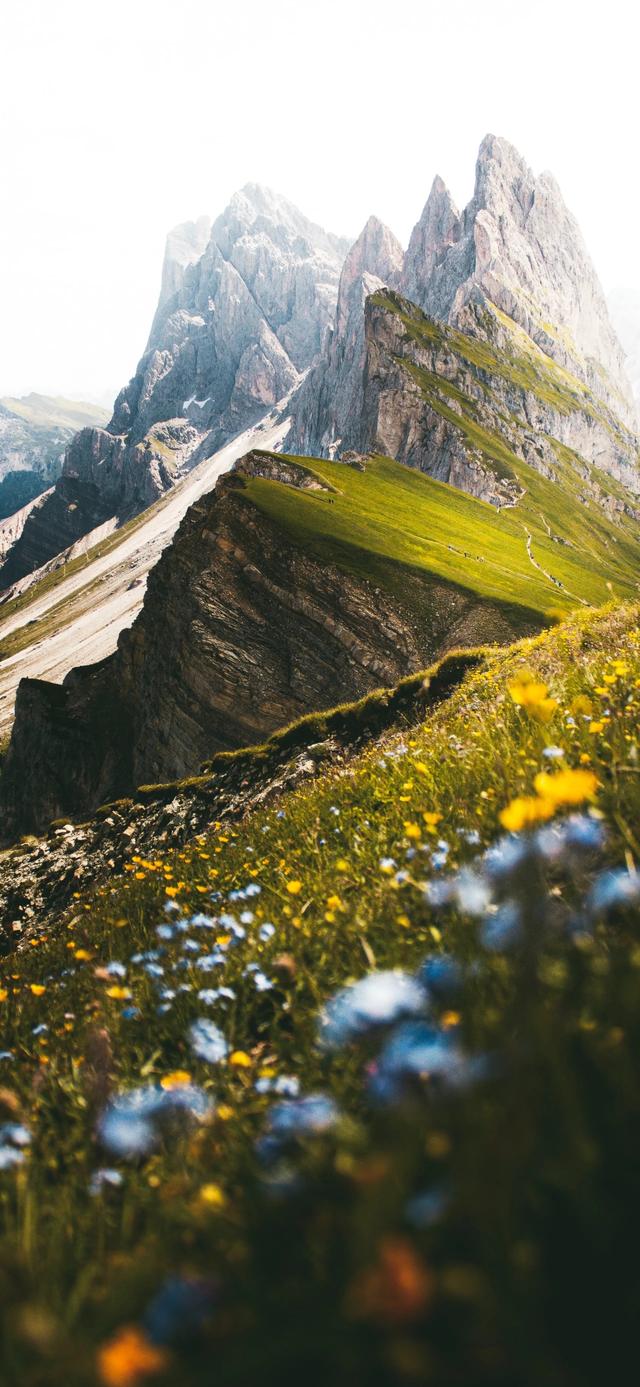 手机壁纸|治愈系的自然美景