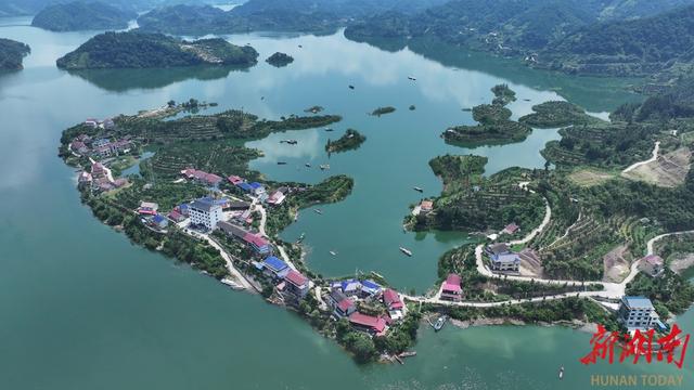 品亚运柑橘，赏千岛湖景！10月26日一起到安化宝塔山组个“橘”