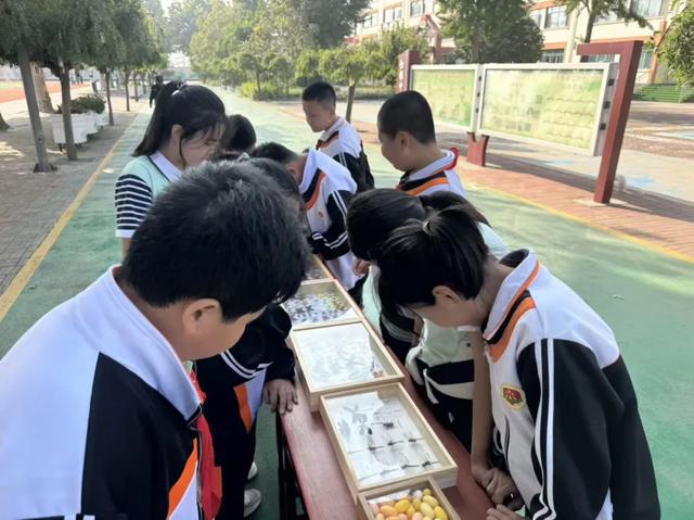 【网络公益】地质科技“五维秀”走进乐亭三小，点燃学生科学梦想