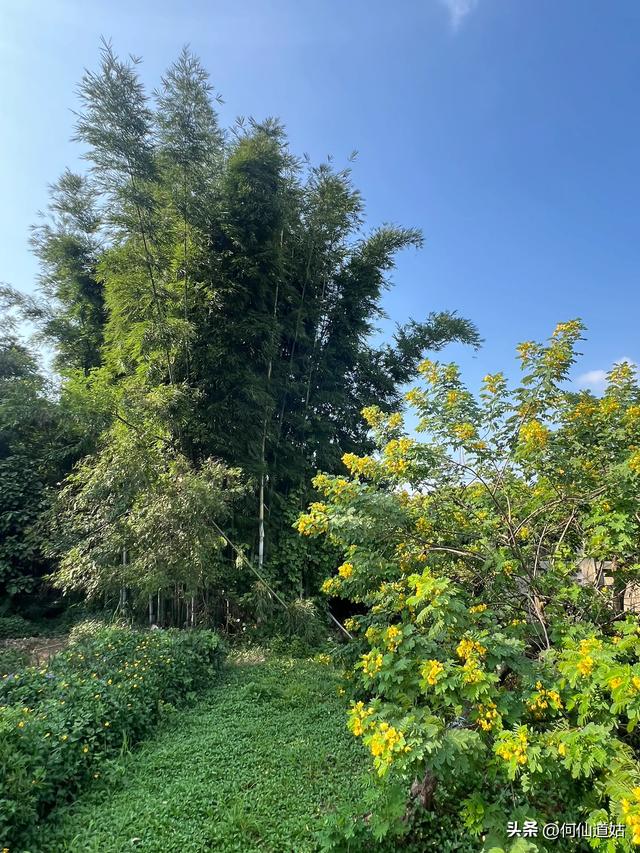 西河古桥，广州第一石桥