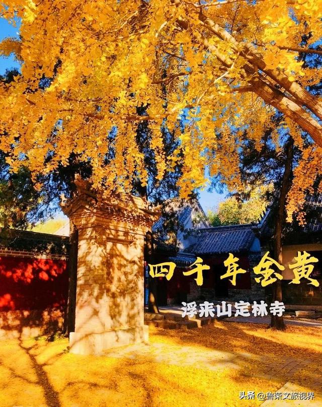 11月旅行：在山河秘境中，邂逅最本真的秋日浪漫