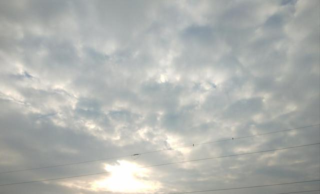 “早大雪，冻死牛；晚大雪，穿单衣”，今年大雪节气是早还是晚？