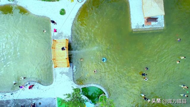 魅力磁县｜不止看景！溢泉湖“天地课堂”解锁自然奥秘​~