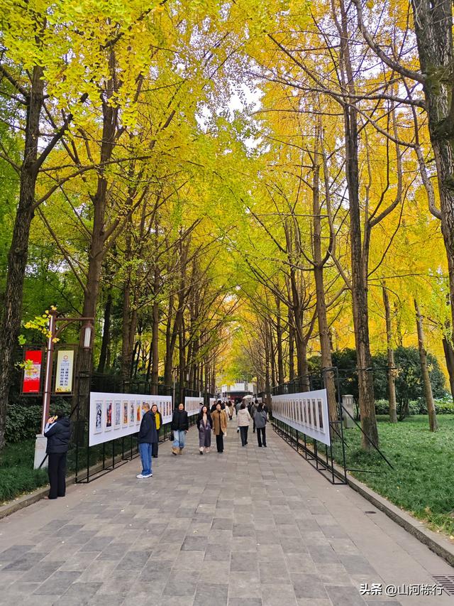 终究是一碗小谭豆花，收留了我失落在人民公园的童年