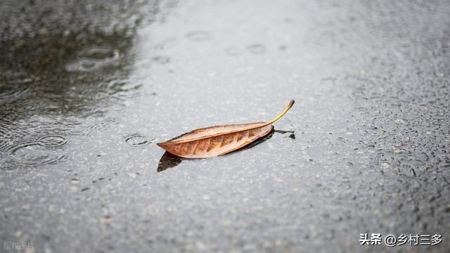 今日中秋节，老人说最怕“中秋节一日雨”，中秋节下雨有啥预兆？
