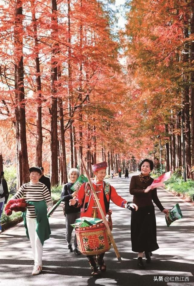 红燃翠岭绿铸魂 大茅山奏响千年交响