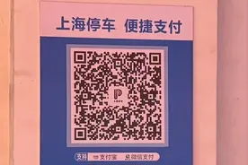扫“上海停车”码缴费，竟也要先下载APP？步骤繁琐，市民被迫改用现金：我就想快点离开…图片