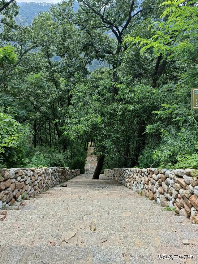 无为在歧路，避暑去鲁山