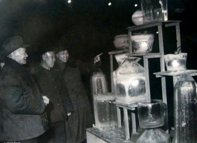 从档案中探寻哈尔滨冰雪文化蝶变之路