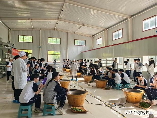 西乡县：茶香三月绽芳华 文旅融合迎客来