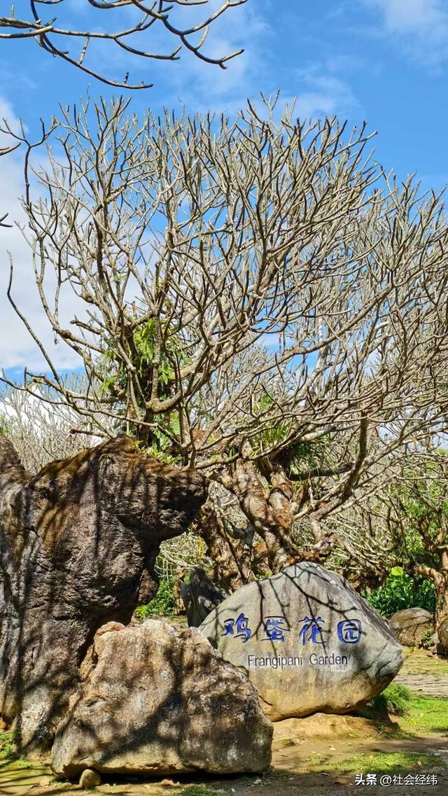 【每日一景】云南德宏勐巴娜西珍奇园