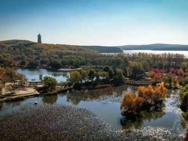 长春“醉”美赏秋攻略：循着落叶的轨迹，邂逅斑斓盛装