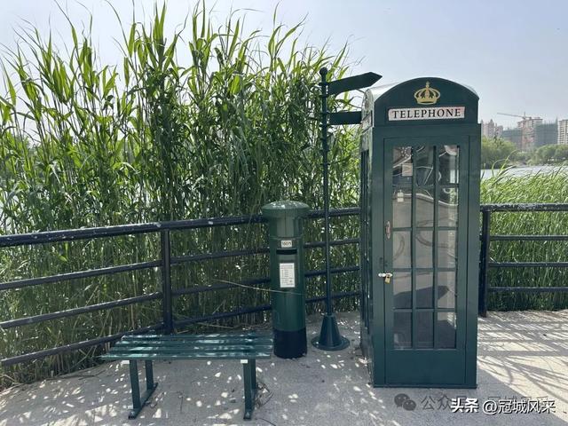 生活在冠县这座小城