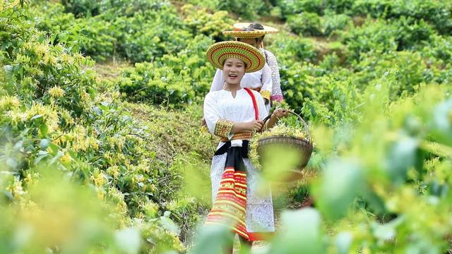 湖南海拔1300米的高山中藏着一个神秘村子，风景不输江西篁岭