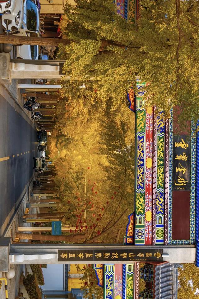 河南秋景大片，来了！