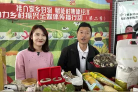 收官！“臻美小佘太”，藏着这些“宝”图片