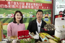 收官！“臻美小佘太”，藏着这些“宝”图片