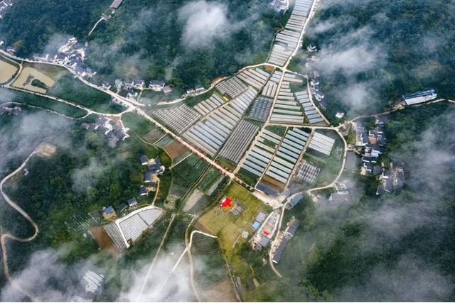 地名里的重庆丨从“乐碛”到“洛碛”，来听渝北洛碛的故事