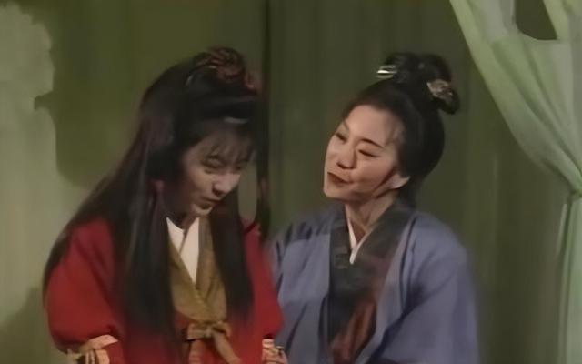 神雕后传：郭芙生下八个儿子，两个是百损道人的，六个是杨过亲生