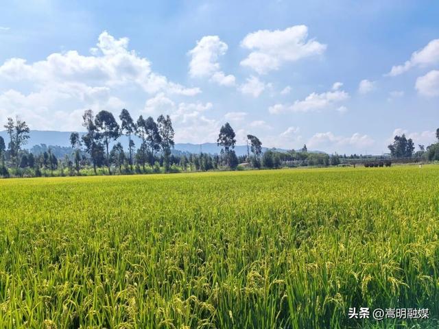 双节同庆 畅享嵩明丨国庆中秋一站式畅游牛栏江镇服务指南