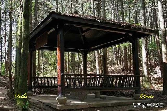 影记 | 衢州钱江源国家森林公园