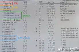 血常规检查中，如何能看出免疫力变低了图片