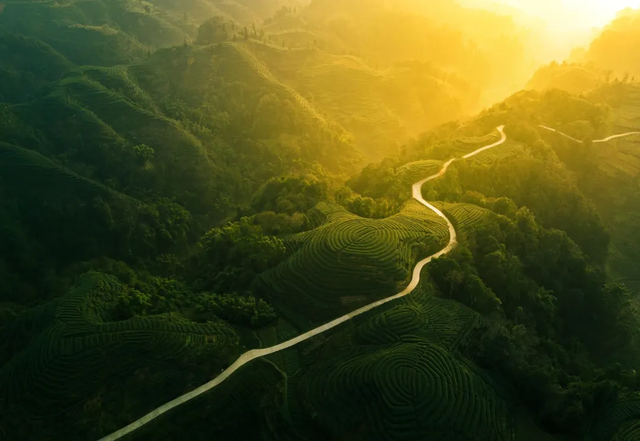 “秋假”开耍！带着小宝来雅安准没错！