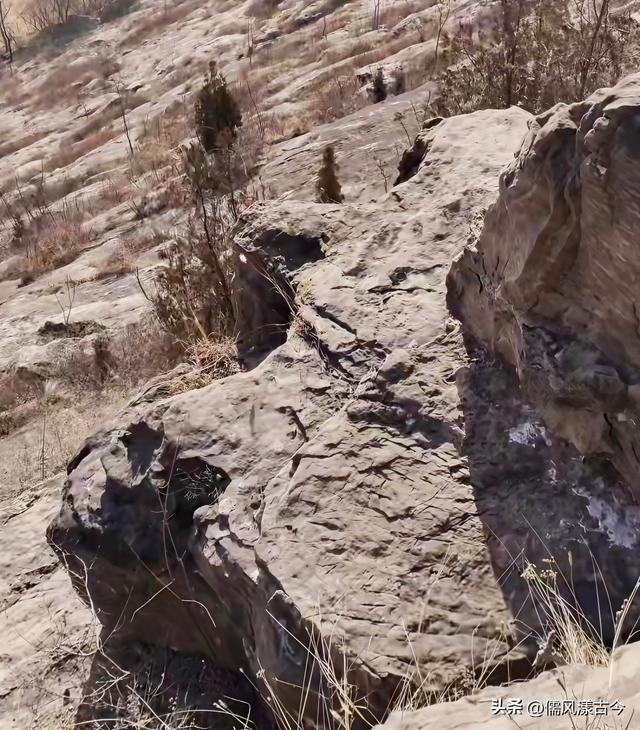 梁山泊灵龟山的神奇传说