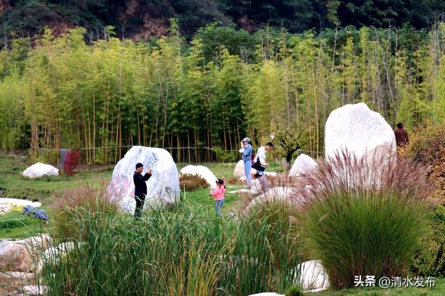 雨润金秋游兴浓 清水文旅绘就“双节”假日新画景
