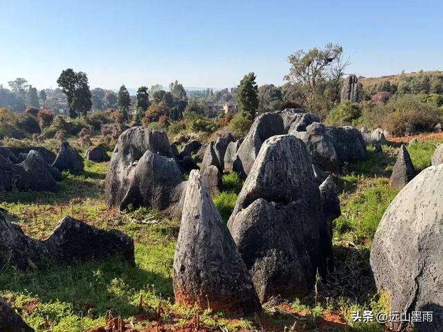 走石林仙女湖、观雷打石石林，徒步穿越绵延石林间，我们惊叹不已