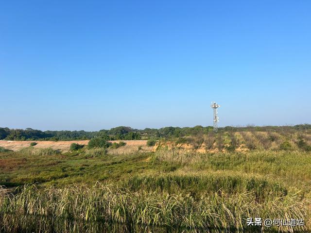 吴城狮子山观鸟