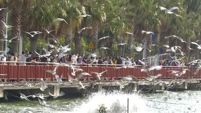 一下飞机，上海阿姨们就被昆明暖到了，除了气候更让她们欣喜的是......